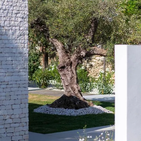 Maison D'exception Dans Les Vignes A 5mn A Pied De La Bonifacio Willa
