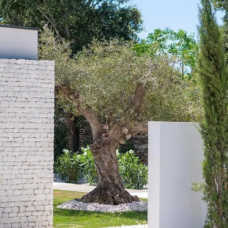 Maison D'exception Dans Les Vignes A 5mn A Pied De La Bonifacio *